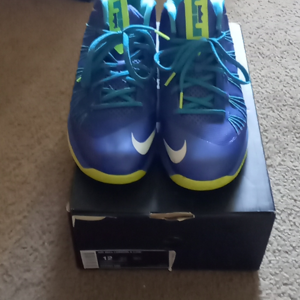 Air max lebron x low